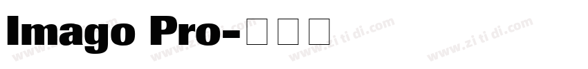 Imago Pro字体转换